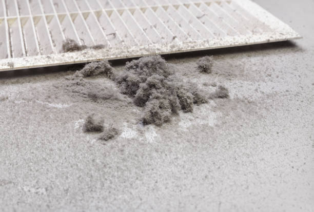 Best Affordable Duct Cleaning Services  in Martsville, IN